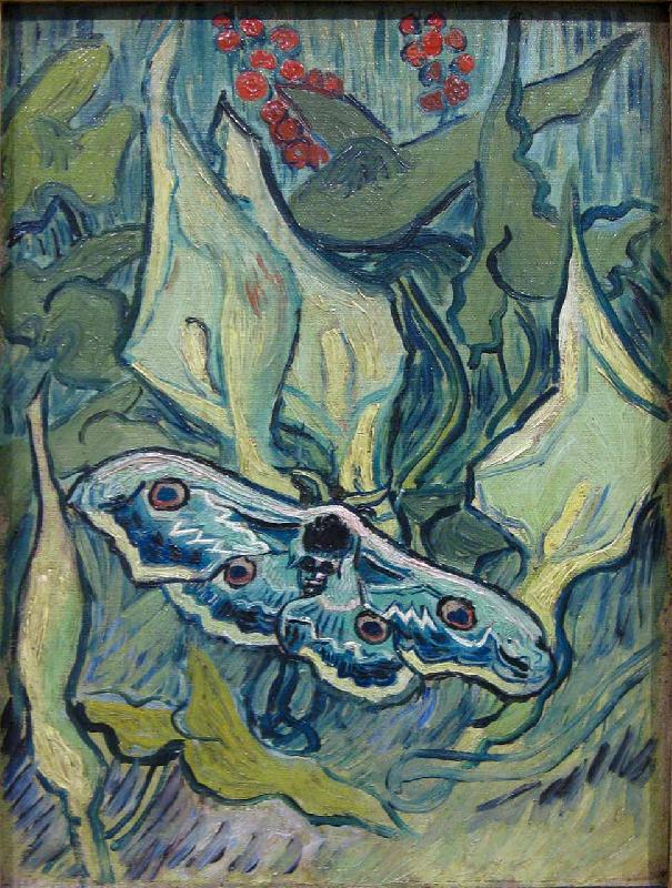 Vincent Van Gogh Butterflies